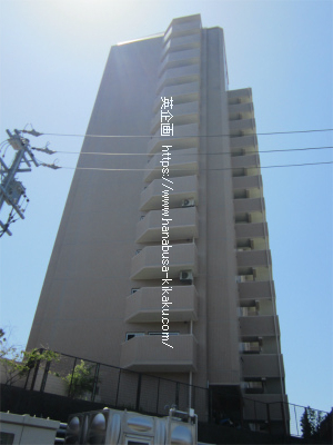 外観です。