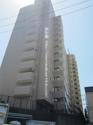 外観です。