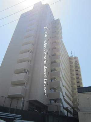 外観です。